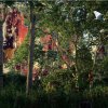 gravura ona floresta joo-congo i